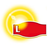 Logos Quiz level 13-29